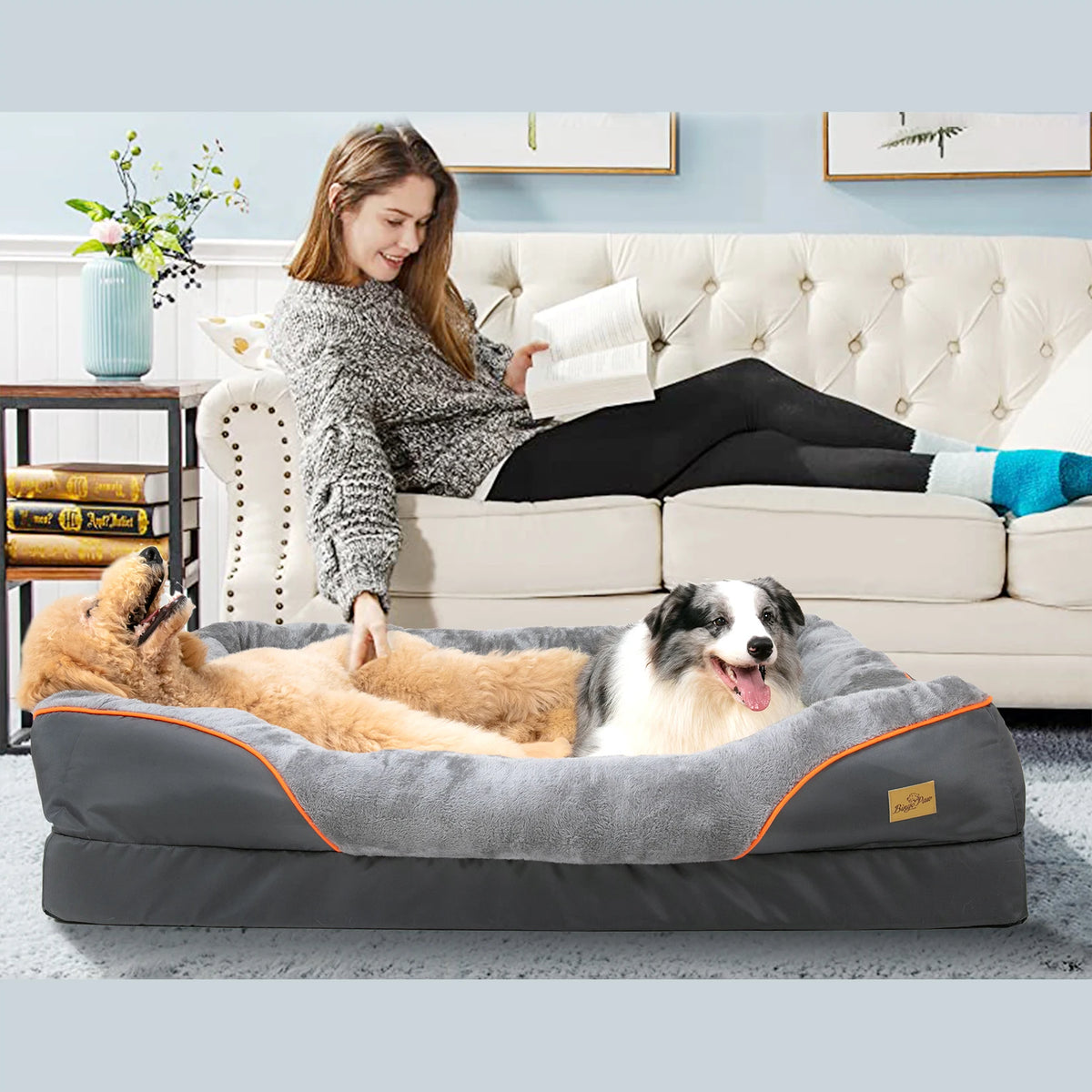 Bingopaw Soft Fleece Dog Bed Removable Washable Waterproof Cover