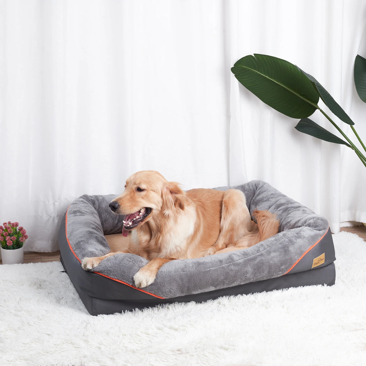 Bingopaw Soft Fleece Dog Bed Removable Washable Waterproof Cover
