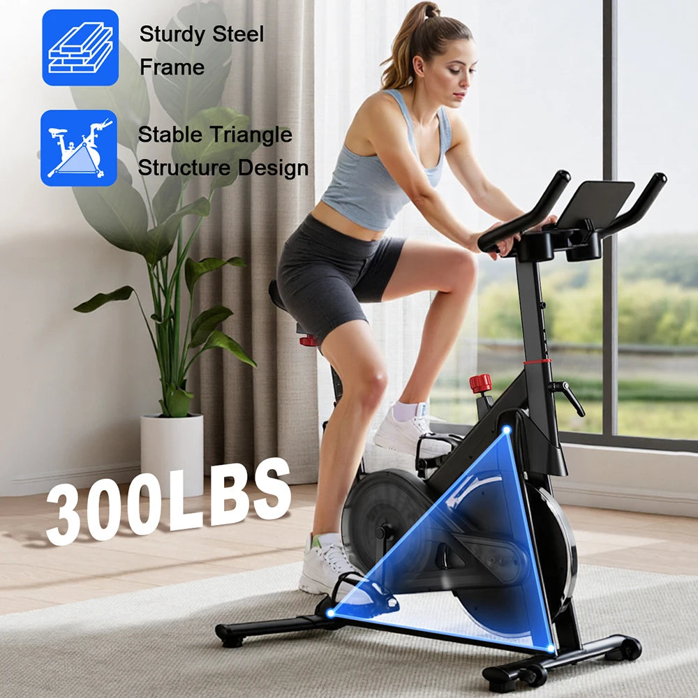 Lacuffy Magnetic Resistance Exercise Bike For Indoor Fitness Training